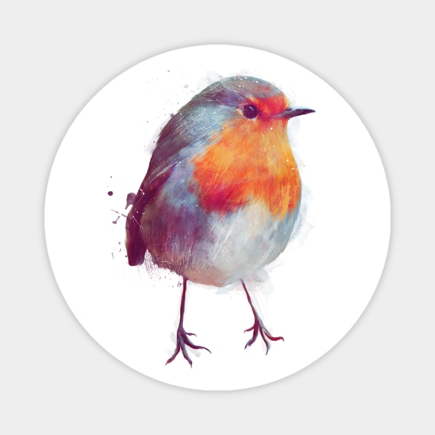 Winter Robin Magnet by Amy Hamilton